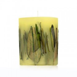 Acqua di Parma Fruit &...