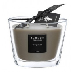 Baobab All Seasons...