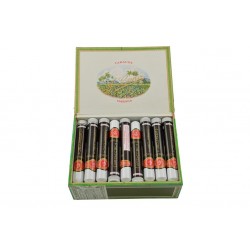 La Flor de Cano Predilectos...