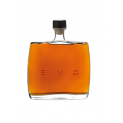 Evo Evo