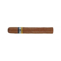 Cohiba Siglo VI