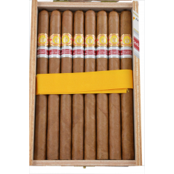 El Rey del Mundo La Reina Regional Edition Gran Bretagna