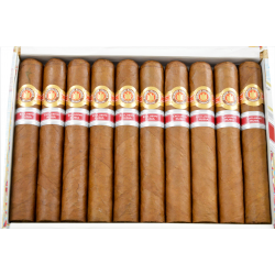 Ramon Allones Hermitage Regional Edition Russia