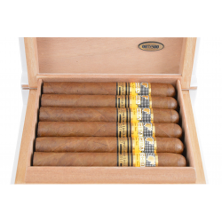 Humidor 500 Aniversario Citta Havana 