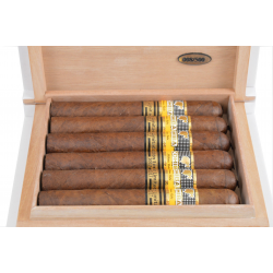 Humidor 500 Aniversario Citta Havana 