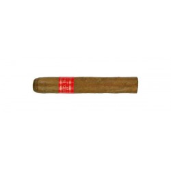 Partagas Serie D No.4