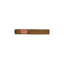 Partagas Shorts
