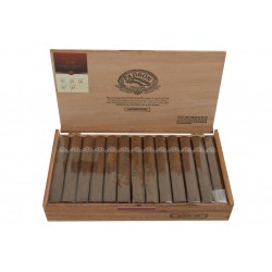 Padron Series 7000