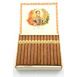 Bolivar Inmensas