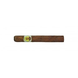 Bolivar Petit Coronas