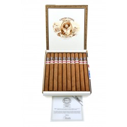 Sancho Panza Quijote