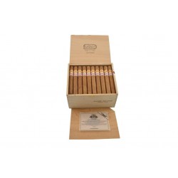 Ramon Allones Gladiator