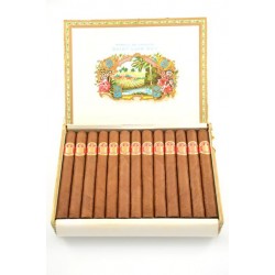 Saint Luis Rey Coronas