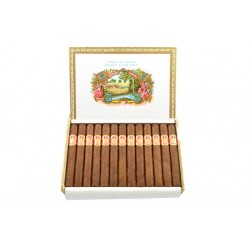 Saint Luis Rey Petit Coronas