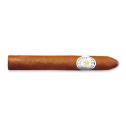 The Griffin's Classic Toro