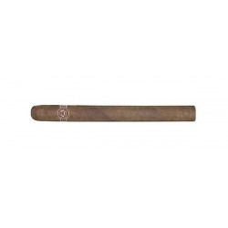 Padron Series Line Executive