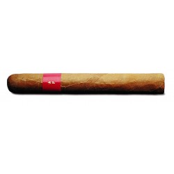 Patoro Gran Anejo Reserva Toro