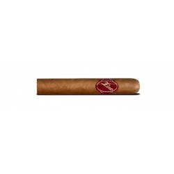 Zino Classic No.6