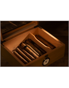 Meta title-Humidor