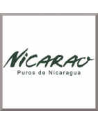 Nicarao