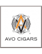 Avo