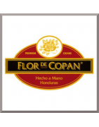 Flor de Copan
