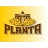 Planta Tobacco