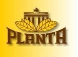 Planta Tobacco
